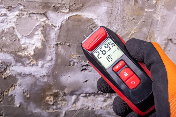 Best Mold Damage Repair  in Mill Creek East, WA
